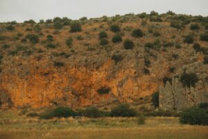 Ronael Pierre-Gabriel'in Kayserispor'u Terk Ettiği Gerçeği Açıklanmı