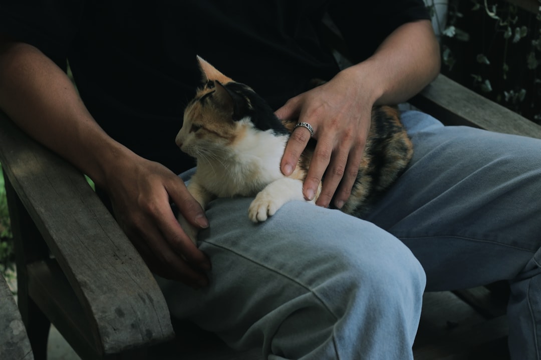 Sahiplendiği Kedi ya da Köpeğini Terk Ettiği İçin Yasaklanma Süresi