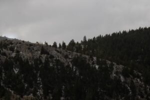 Sakarya Çam Dağı'nda Kar Manzaraları