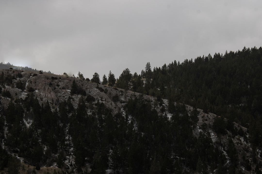 Sakarya Çam Dağı'nda Kar Manzaraları