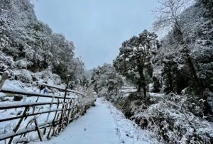 Samsun'da Kar Yağışı Sırasında Yön Tabelalarını Temizleyen Öğrenci Ö