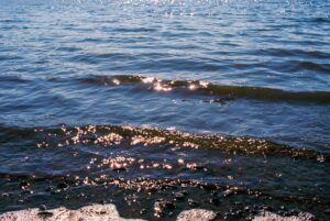 Sapanca Gölü Kıyısındaki Kaçak Yapılar Yıkılacak