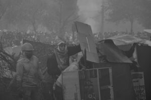 Sinop'ta Karacalar Kar Küreme Aracına Eşlik Etti