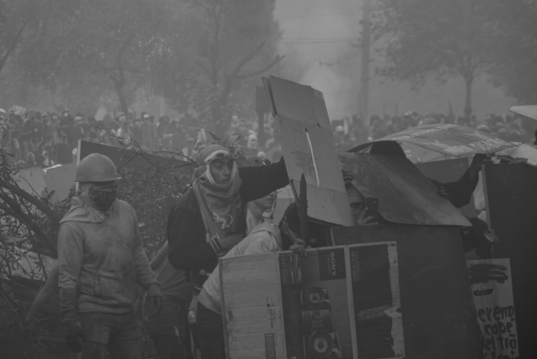 Sinop'ta Karacalar Kar Küreme Aracına Eşlik Etti