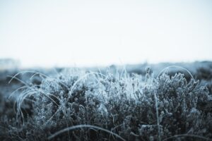 Soğuk Havalar Taze Sıkım Meyve Suyu Satışlarını Artırdı