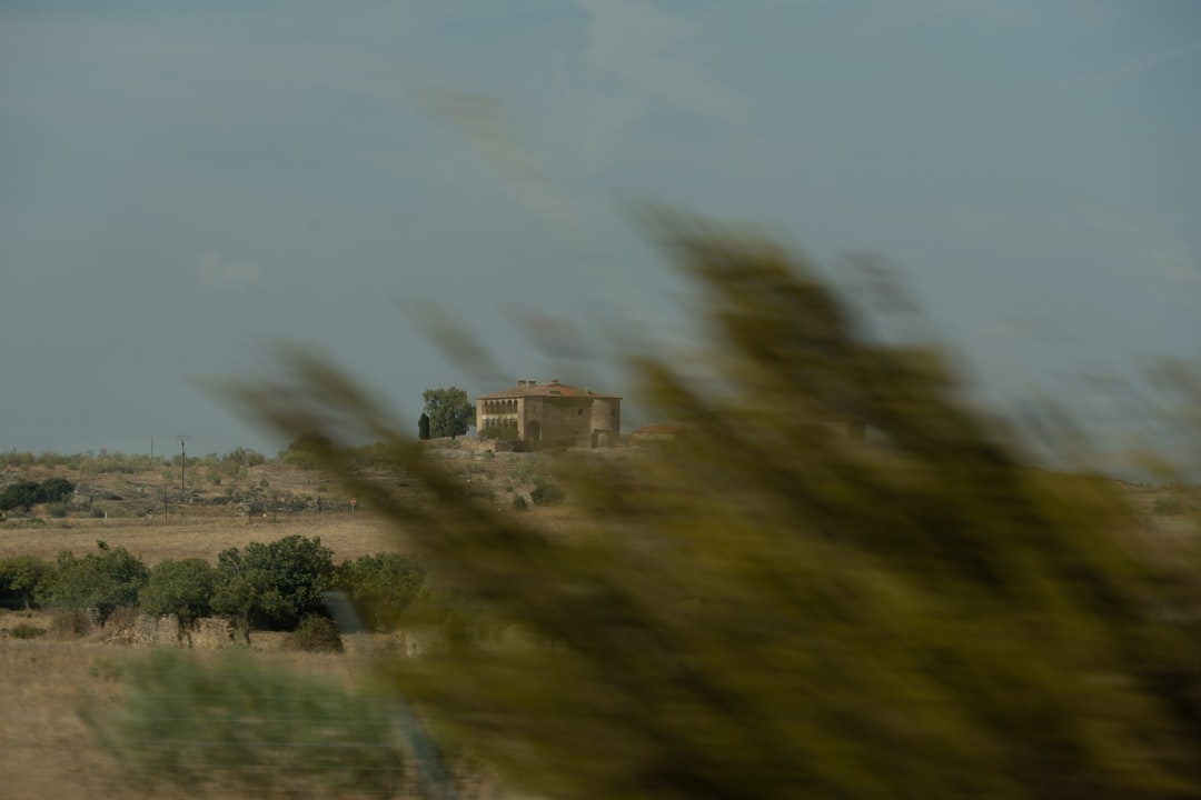 Suriye Orduyu Panorama Kavşağına ulaştı