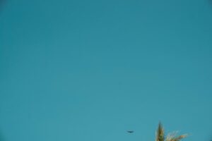 Türkiye'ye Geri Dönüş Yapan 17 Suçlu