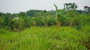 Tarım ve Orman Bakanı Yumaklı'nın Yatırım Desteği Çağrısı