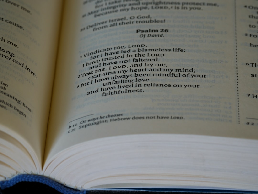 TDK Türkçe Sözlük 2025 Arama Verilerini Paylaştı