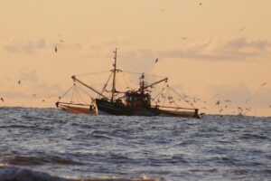 Tekirdağlı Balıkçılar Şiddetli Lodos Nedeniyle Ava Çıkamıyor