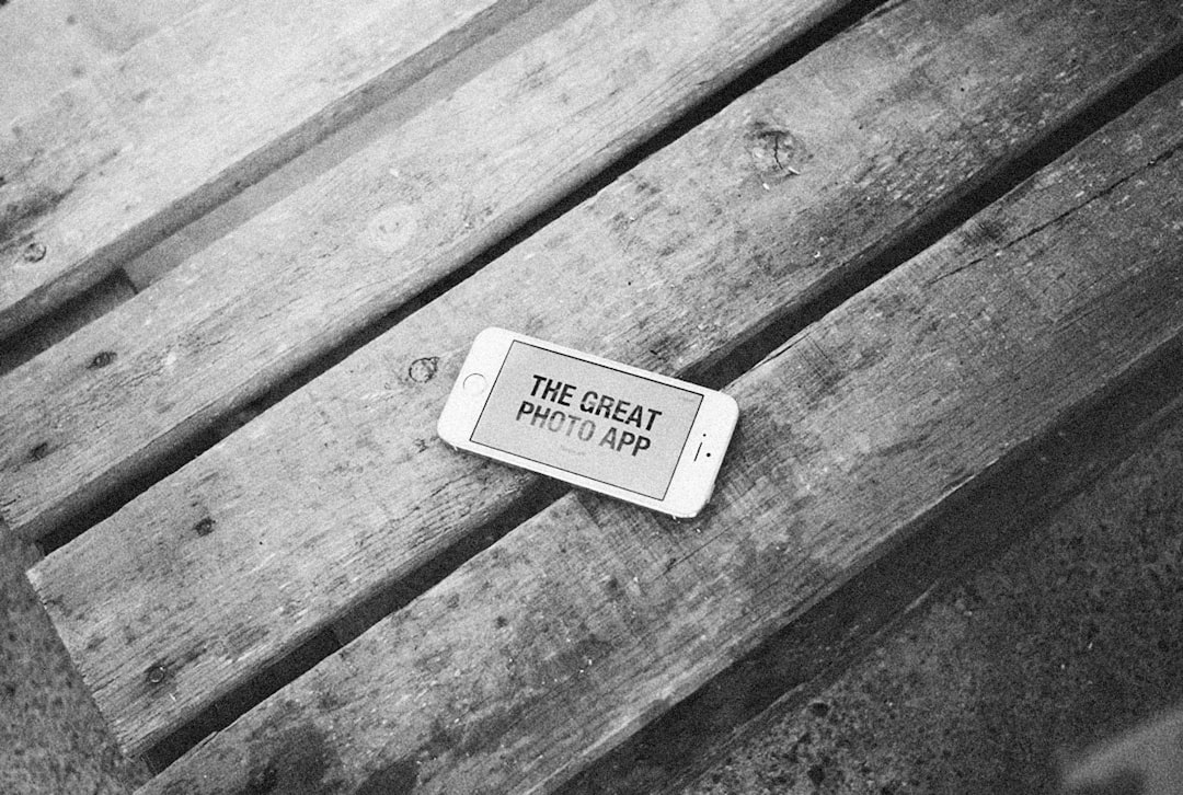 TikTok Kalkanı: İnceleme Başlatıldı