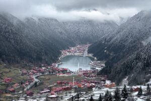 TOKİ Siirt Kurası Canlı İzle: 500 Bin Konut Siirt Kura Sonuçları Belli oldu