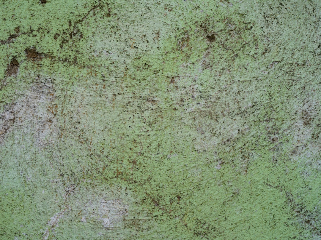 Trump: ABD'nin Grönland'ı Satın Almasını Görüşmek Üzere Danimarka il