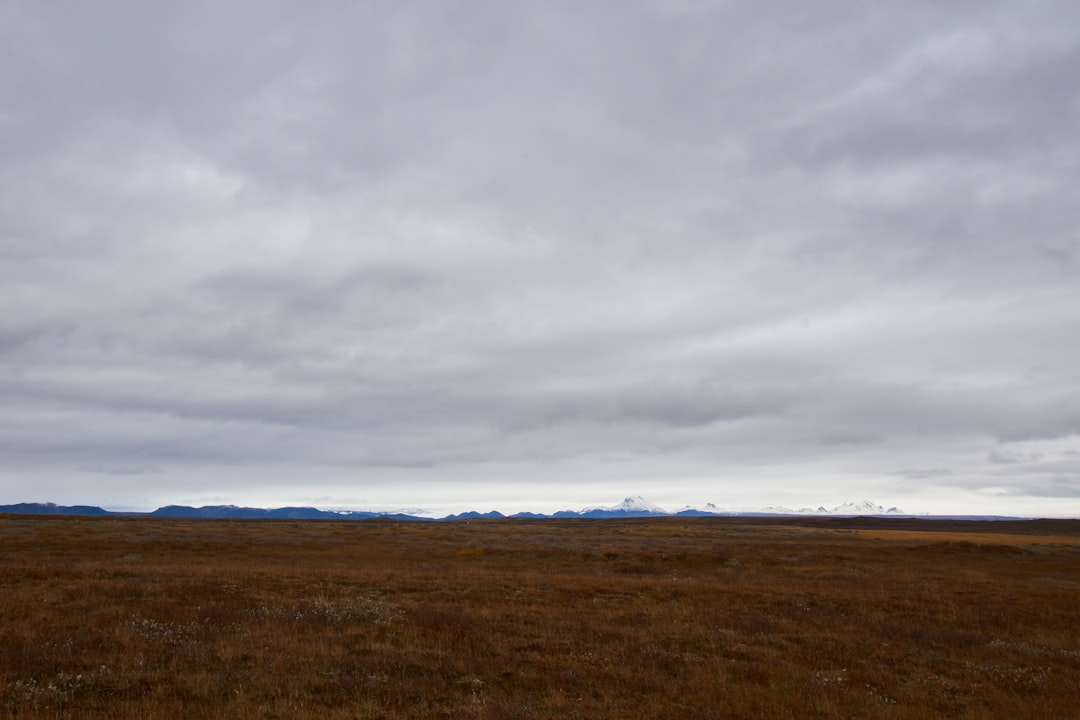 Trump, Grönland Anlaşmasını "Süresiz" olarak Tanımladı