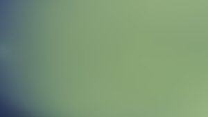 Trump, Suriye'deki Siyasi Süreci Konusunda Cumhurbaşkanı Şara'ya Güv