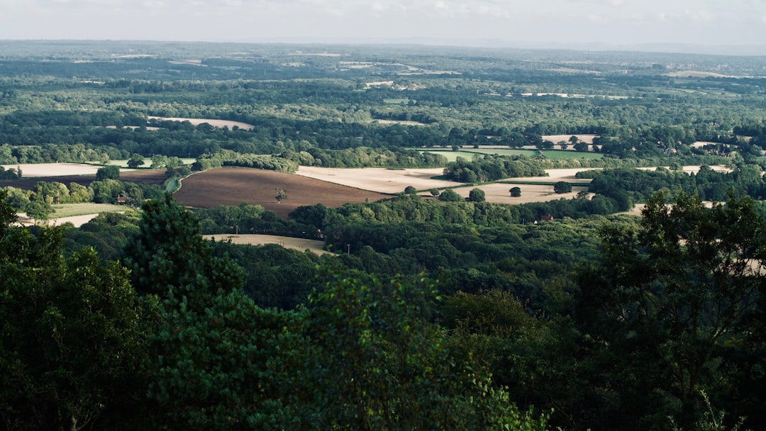 Virginia Doğu Bölgesi Savcısı Lindsey Halligan'ın Görev Süresi Sona