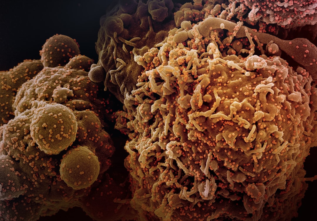 Özofagus Kanserinin Sessiz İlk İznleri: Yutma Güçlüğü ve Diğer Belir