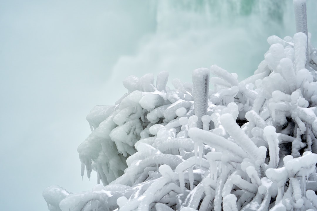 2026 Milano-Cortina Kış Olimpiyatları'nda İtalya, Japonya ve Norveç