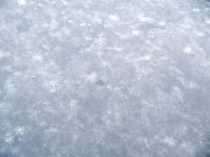 29. Kar Üstü Karakucak Güreşleri Artvin'de Gerçekleştirildi