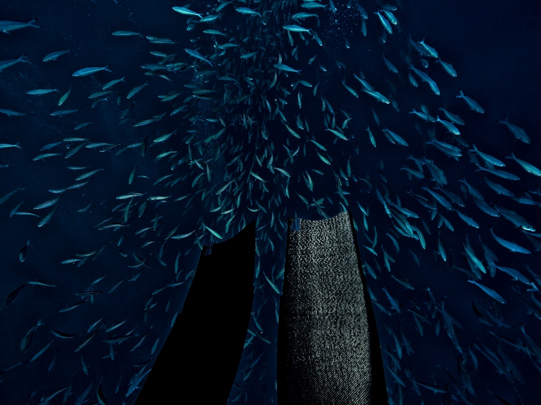 426 Bin Liralık Gizemli Para Transferi: İş İnsanı Bunalıyor