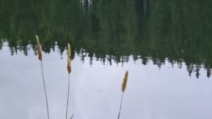 AÖL 2. Dönem Kayıt Tarihi Uzatıldı!