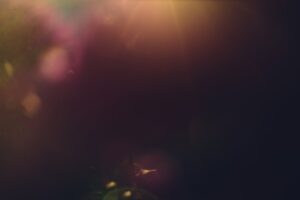 Alphabet'in Geliri ve Karı Geçen Yılın Son Çeyreğinde Arttı