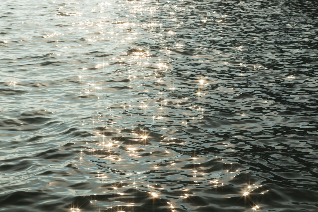 Aydın'da Sel Suları Zeytin Ağacını Söktü
