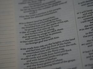 Aydın'ın Söke İlçesi'nde Büyük Menderes Nehri'nden Tehlike