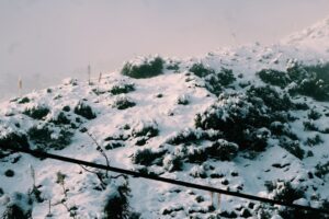 Başlık: Edirne'de Kar Yağışı Başladı