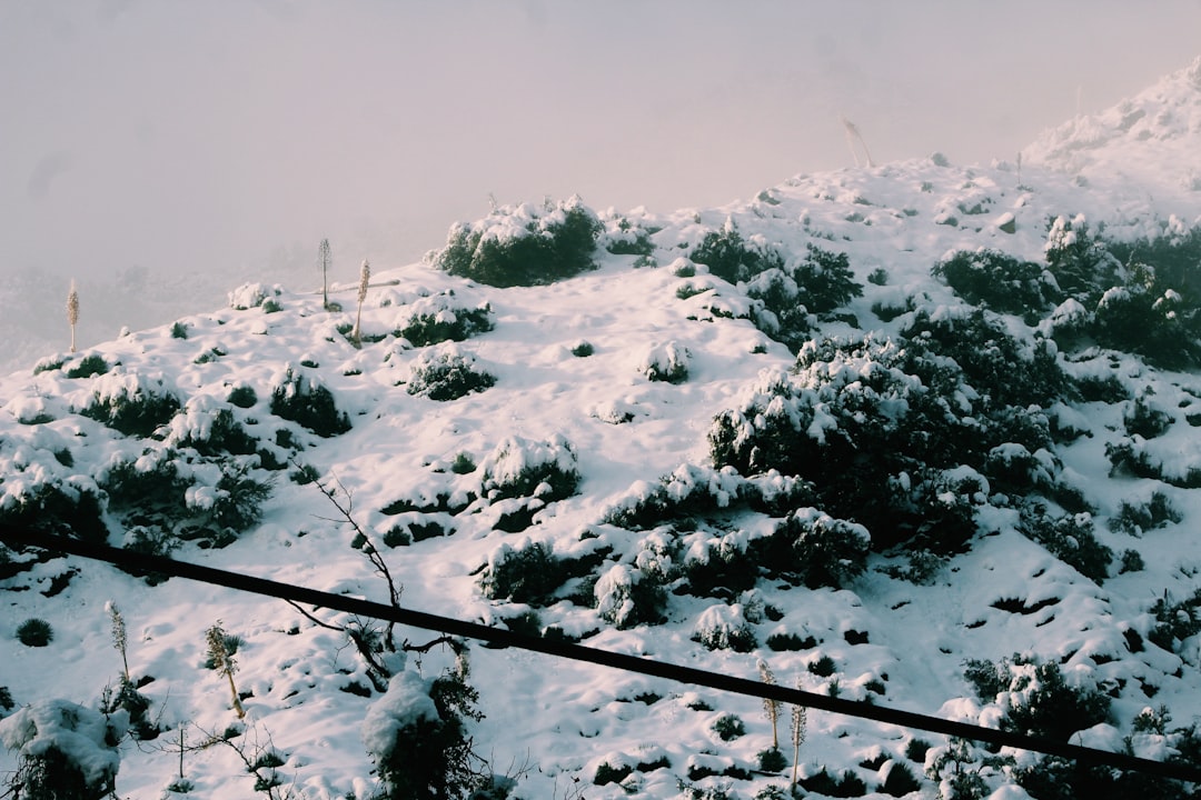 Başlık: Edirne'de Kar Yağışı Başladı