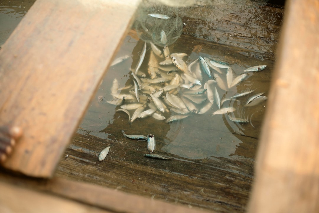 Balıkesirspor, Rakibine Evinde 10 Kişiyle Teslim Oldu