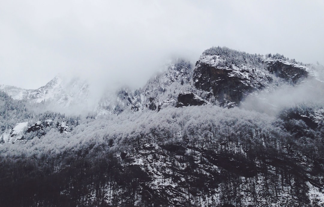 Bolu Dağı'nda Kar ve Sis Etkili Oldu