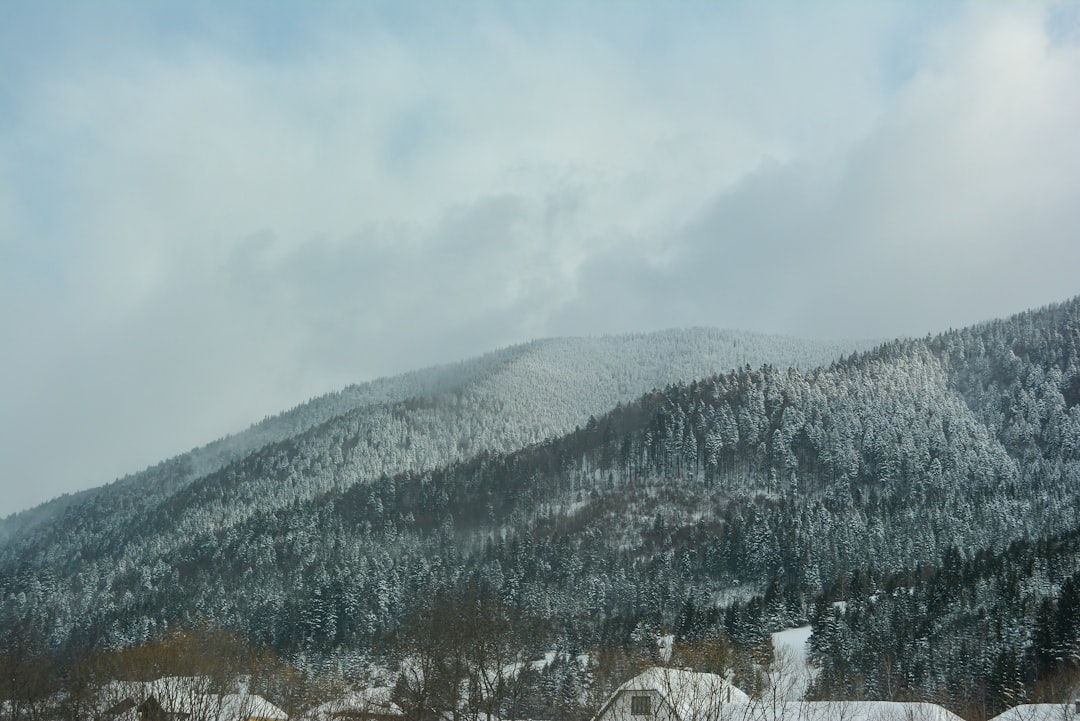 Bolu Dağı'nda Kar Yağışı: Ankara ve İstanbul Arası Ulaşım Etkili Olu