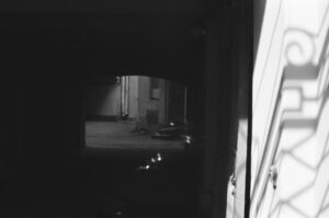 D-8'in Dönüşüm Sürecine Destek Vermeye Devam Edilecek