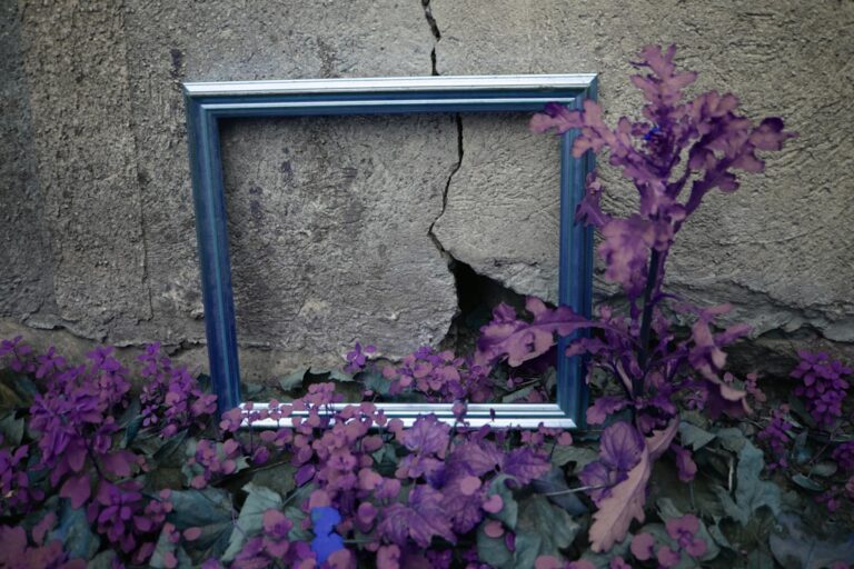 Denizli'de Deprem Oldu: Kandilli ve AFAD'nın Son Dakika Haberleri