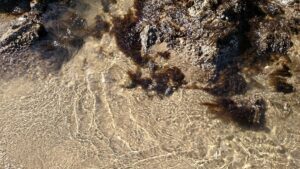 Denizli'de Sel Can Aladı