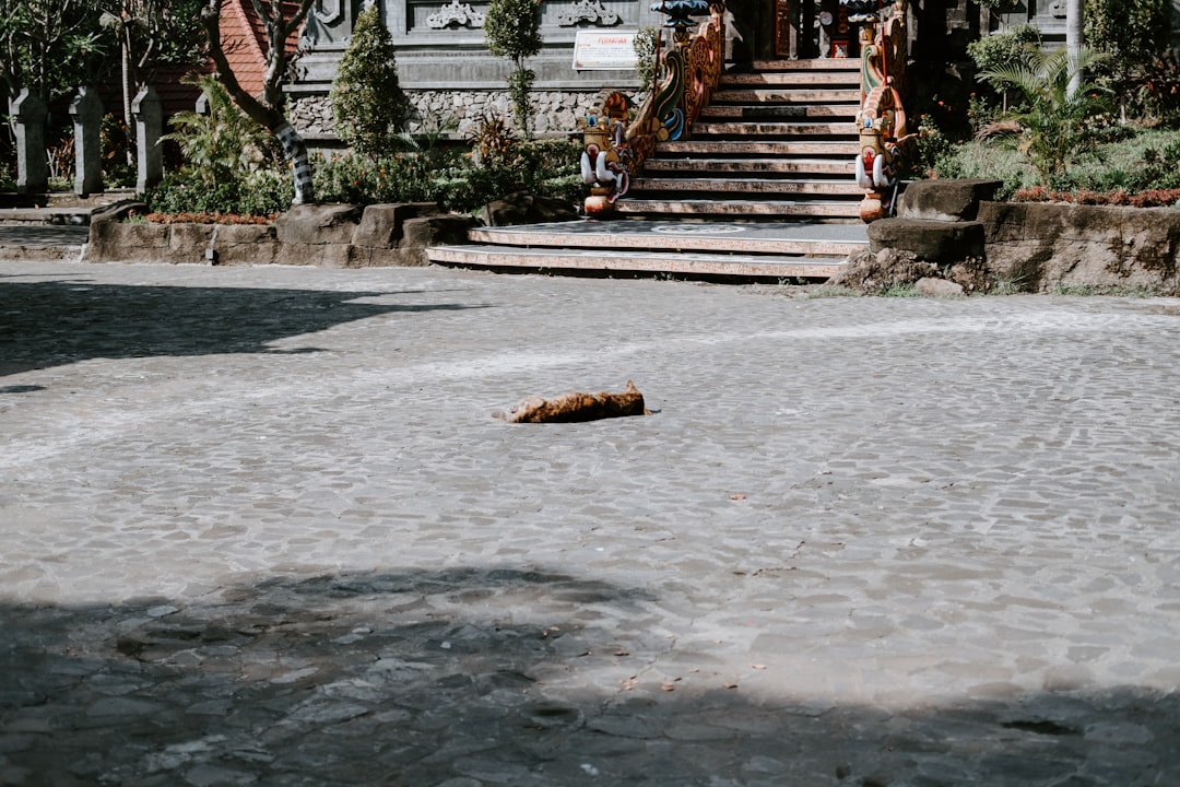 Edirne'de Meriç Nehri'nin Debisi 3 Katına Çıktı