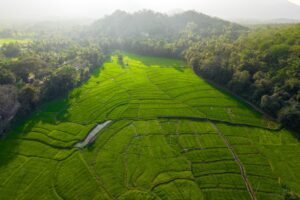 Endonezya'da Toprak Kaynağı: 85 Can Kaybı