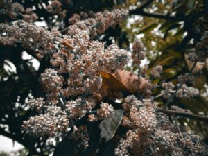 Fenerbahçe'yle Karşılaştı, İlerici Oyuncu Serdar Dursun: "Fenerbahçe