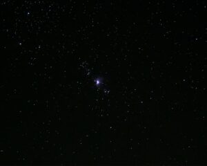 Galatasaray'ın Nijeryalı Yıldızı Victor Osimhen, Şampiyonlar Ligi'nd