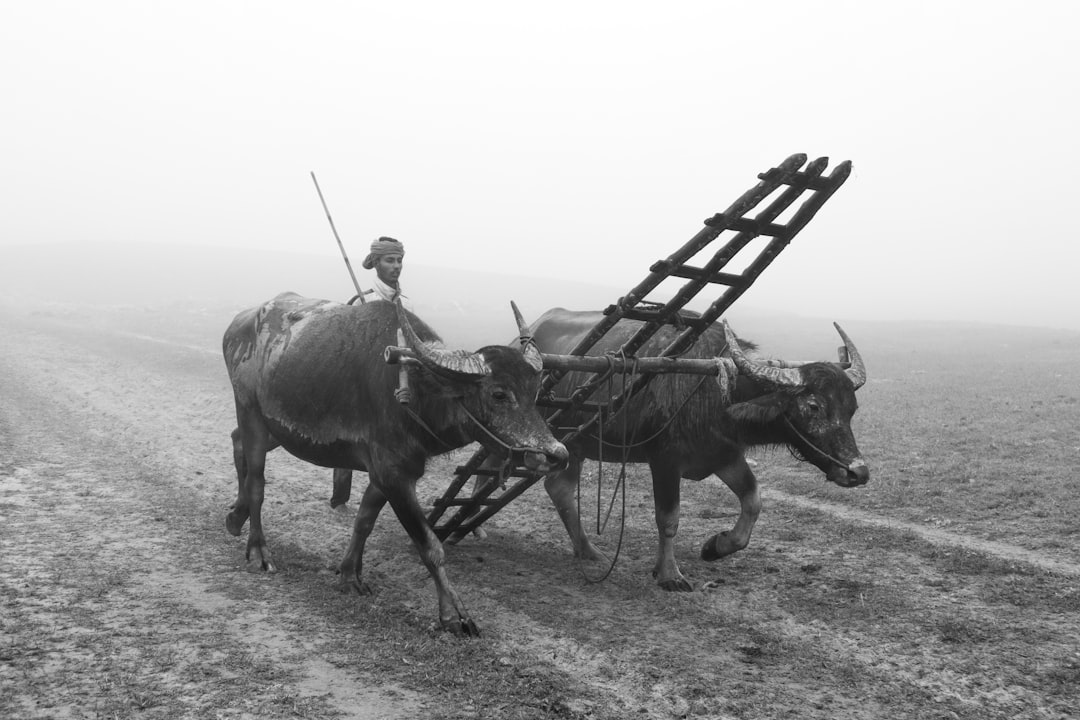 İçişleri Bakanı Çiftçi, Ziyaretine Geldiği Bakan Tekin ve Milletveki