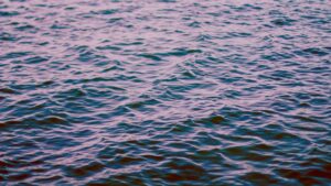 İstanbul'a Su Sağlayan Barajlar Doluluk Oranı Yüzde 40'ü Aştı