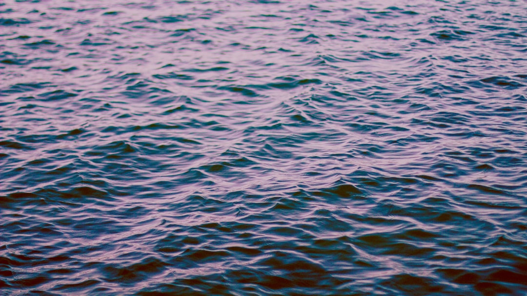 İstanbul'a Su Sağlayan Barajlar Doluluk Oranı Yüzde 40'ü Aştı