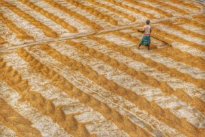 Çiftçilere 129,3 Milyon Liralık Tarımsal Destekleme Ödemesi Bugün Ya