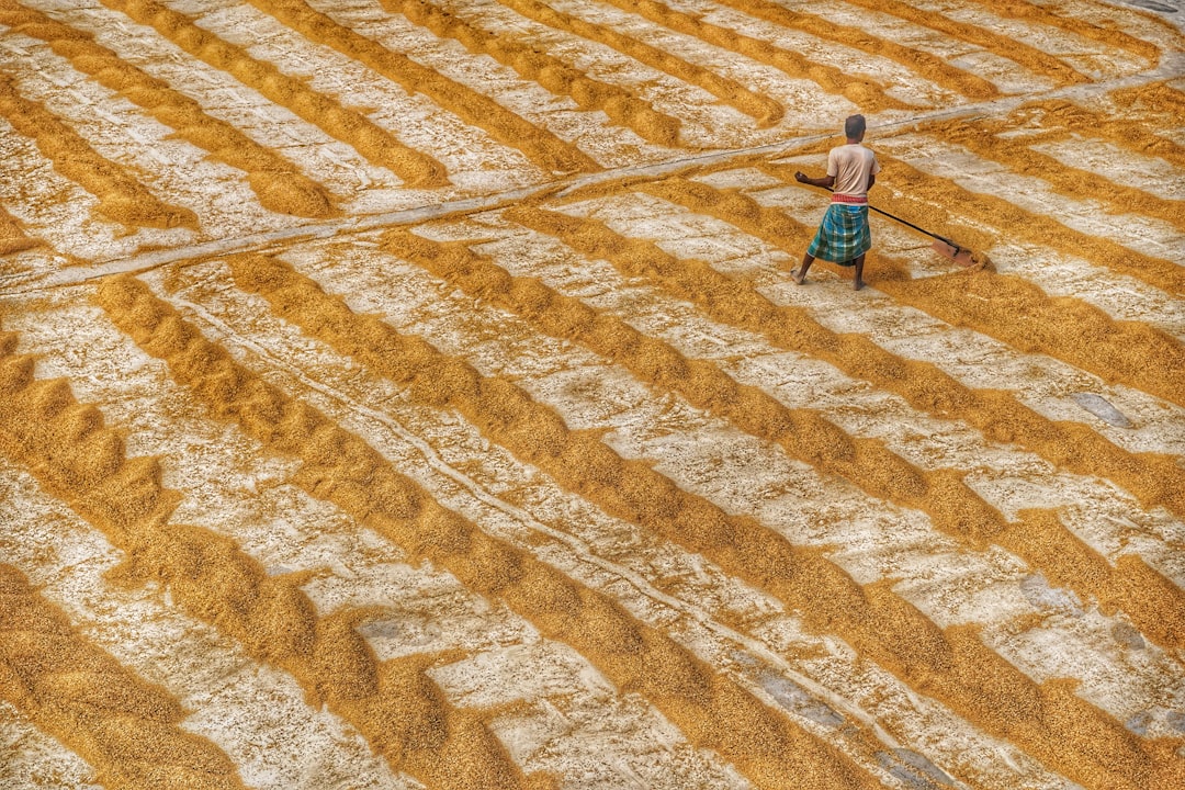 Çiftçilere 129,3 Milyon Liralık Tarımsal Destekleme Ödemesi Bugün Ya