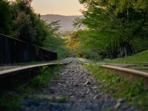 Çin'de Demir Yolu Köprüsü Çöktü: 5 İşçi Hayatını Kaybetti