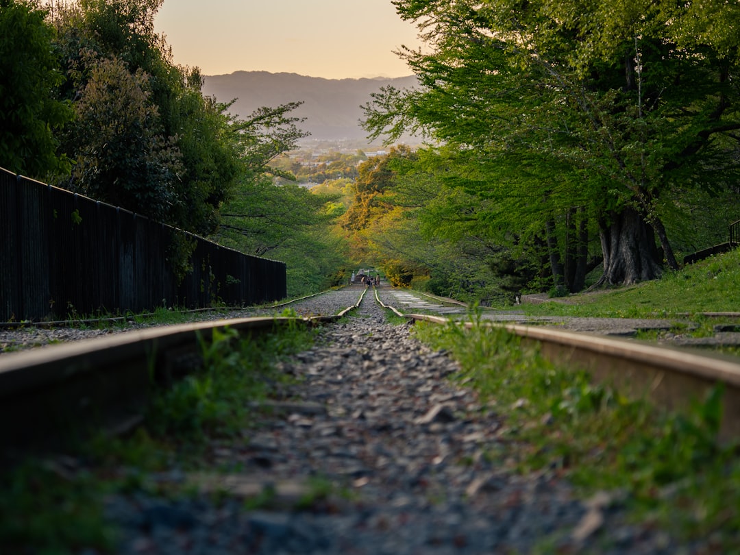 Çin'de Demir Yolu Köprüsü Çöktü: 5 İşçi Hayatını Kaybetti