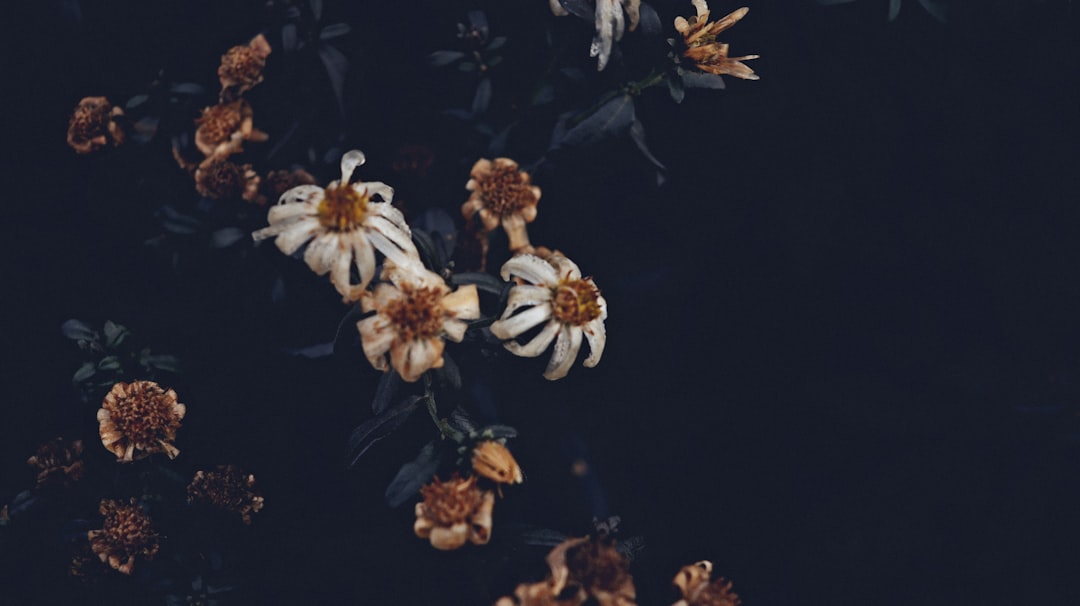 Instagram'da Intiharla İlgili Aramalar: Ebeveynlere Uyarı Bildirimi