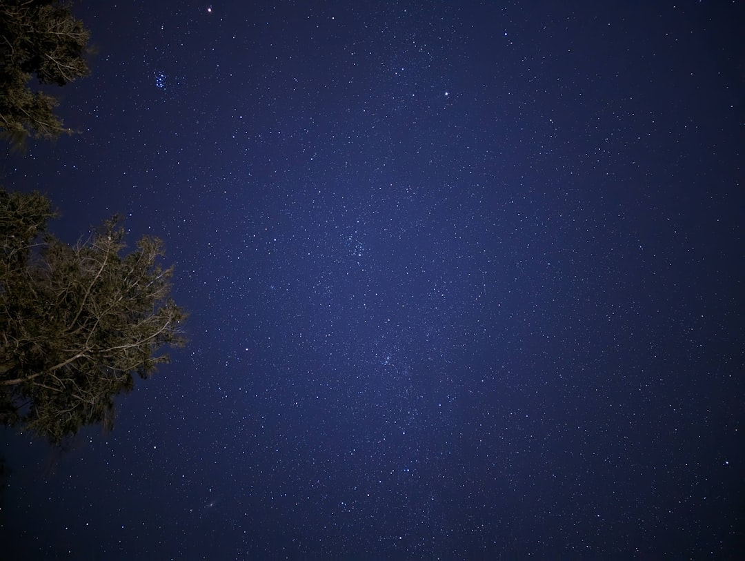 Kenan Yıldız, Juventus'la 2030'a Kadar Uzlaştı