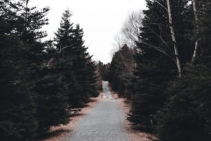 Çorum-İskilip Yolunun Kırkdilim Geçişi'ndeki Çalışmalar Tamamlandı